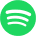 Custom Icon