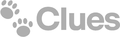 clues.png