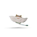 fish111