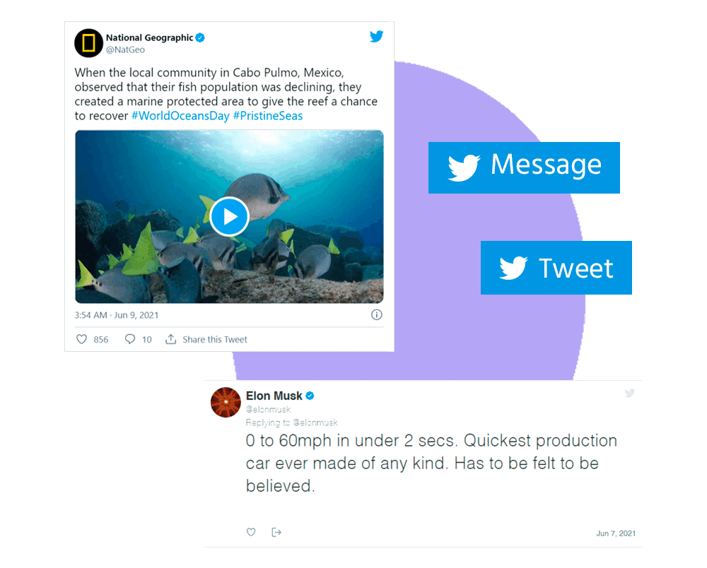 Twitter-Embed-1