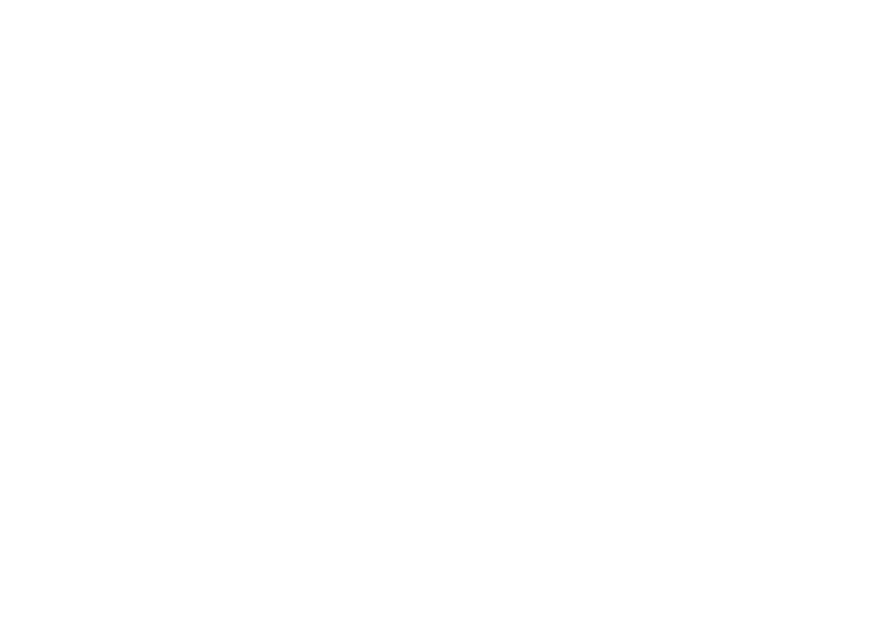 Parallax Image